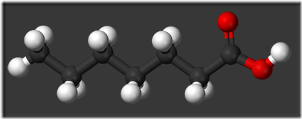 Heptanoic-acid