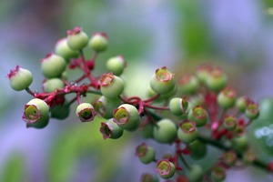 20250517-05.jpg