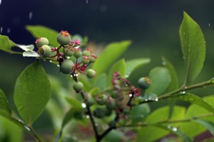 20250517-07.jpg