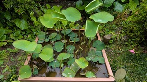 20250517-08.jpg