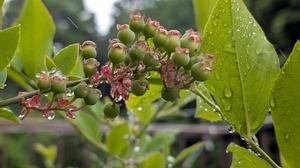 20250517-09.jpg
