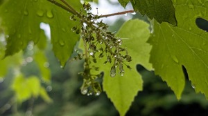 20250517-10.jpg