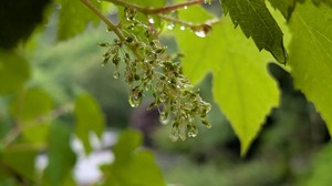 20250517-11.jpg