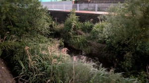 20250521-03.jpg