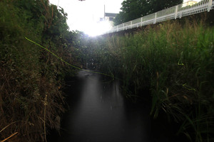 20250521-04.jpg