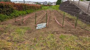 20250524-01.jpg