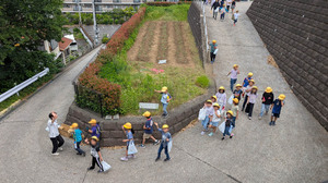 20250524-07.jpg