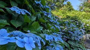 20250617-05.jpg