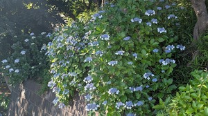 20250617-10.jpg