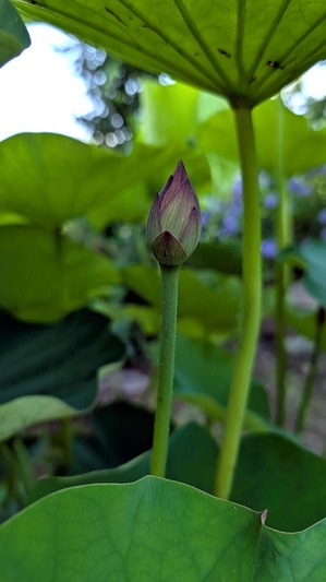 20250618-01.jpg