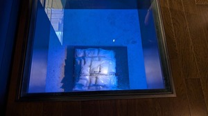 20250619-04.jpg