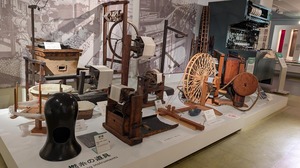 20250619-13.jpg
