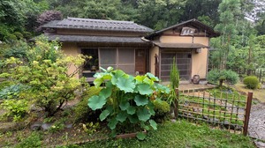20250625-04.jpg