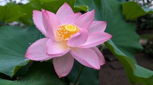 20250626-01.jpg