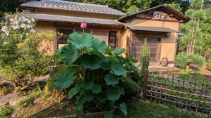 20250703-03.jpg