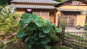 20250705-03.jpg