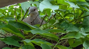 20250712-02.jpg