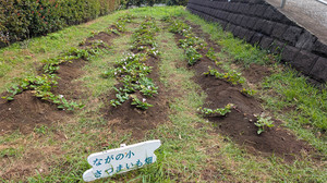 20250802-01.jpg