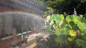 20250809-01.jpg