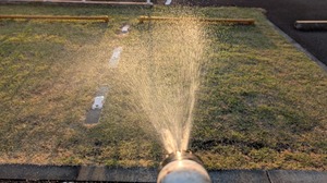 20250809-02.jpg