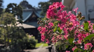 20250817-00.jpg