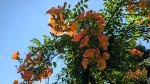 20250817-01.jpg