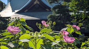 20250817-04.jpg