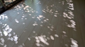 20250825-01.jpg