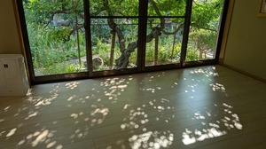 20250825-02.jpg