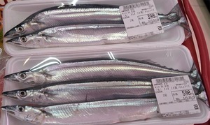 20250902-01.jpg