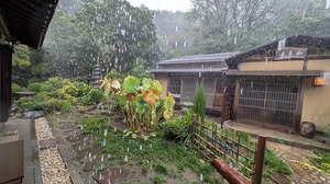 20250905-01.jpg