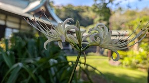 20250924-02.jpg