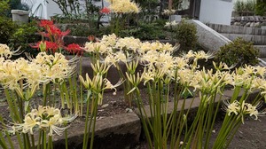 20251002-07.jpg