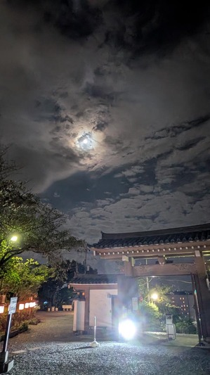 20251006-03.jpg