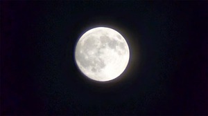 20251006-05.jpg