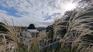 20251010-02.jpg